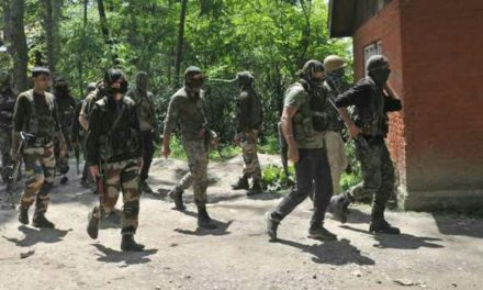 Massive search operation in several Shopian villages