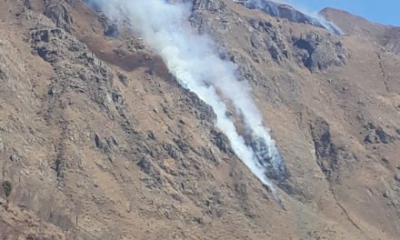 Pak violates truce, fires unprovoked on LoC in Poonch