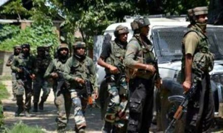 Massive search operation launched in Pulwama