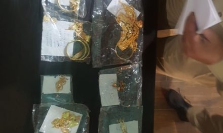 Two burglars arrested in Budgam