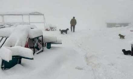 Gulmarg, Pahalgam, other higher reaches experience snow, rain in plains