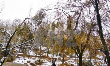 PDD employees in Wayil Manigam on work to restore Electricity