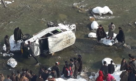 Five persons injured as sumo plunges into nallah in Kalaroos