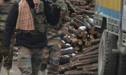 Forces launch searches in north Kashmir’s Bandipora
