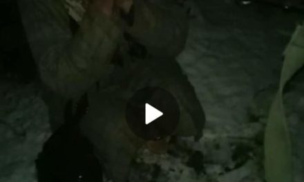 Bullet riddled body of girl recovered in Shopian, video of her killing surfaces on social media