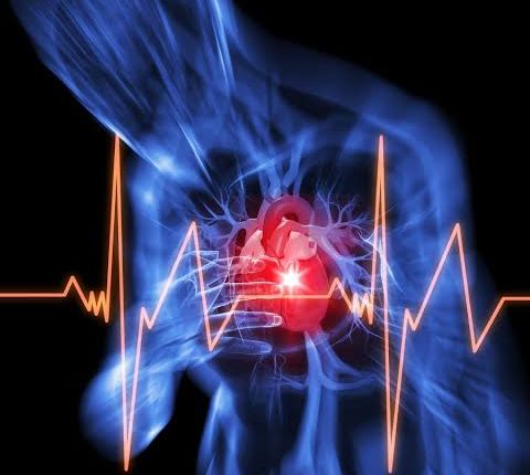 BSF Officer Dies Of Cardiac Arrest In Keran Sector