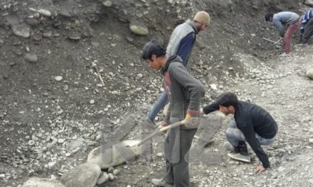 Child labour goes unchecked in Ganderbal