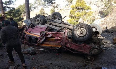 5 killed 8 others injured as Tata Sumo plunges into gorge