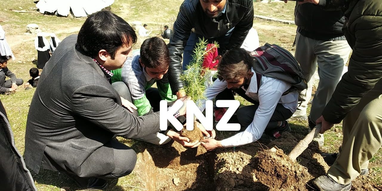 Sind Forest Division Ganderbal In collaboration with Media fraternity holds plantation drive at Gutlibagh Preng
