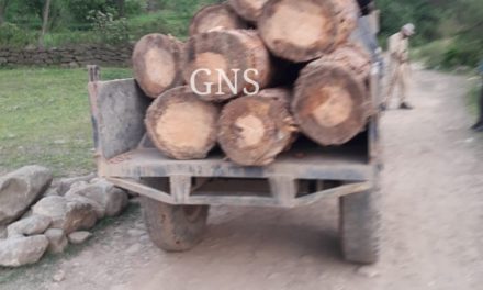 Tractor loaded with illicit timber logs seized in Poonch