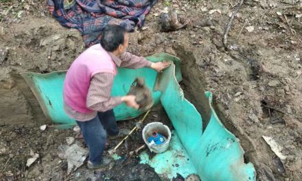 Militant hideout busted in Pulwama