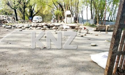 Nunner Ganderbal shuts down on second day against killing of Local Militant