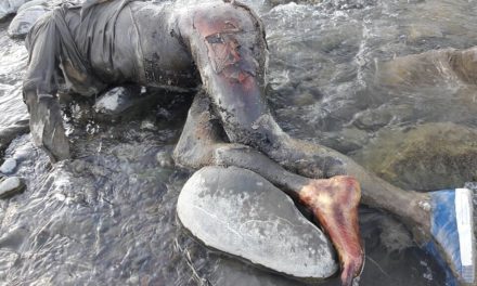 Unidenfied Decomposed male body found in Poonch