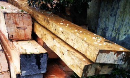 Sopore police seizes illicit timber, deodar