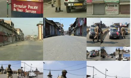 Shutdown, restrictions mark Burhan Wani’s 3rd anniversary