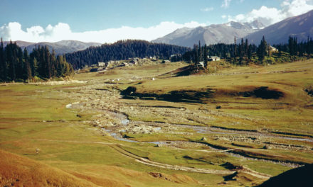 No private land for outside investors in J&K: Reddy