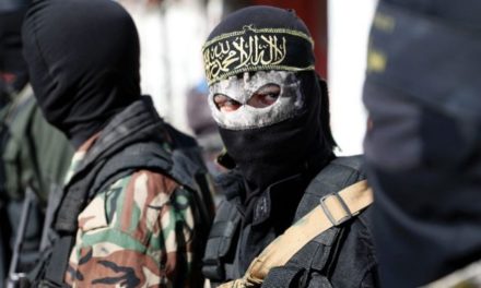 19 Local Militants Active In North Kashmir: DIG