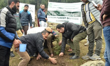 Forest department starts plantation drive in Ganderbal