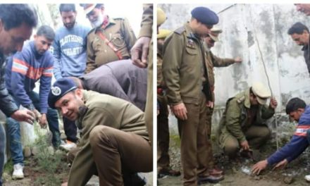 Plantation drive held at Bandipora and Parihaspora