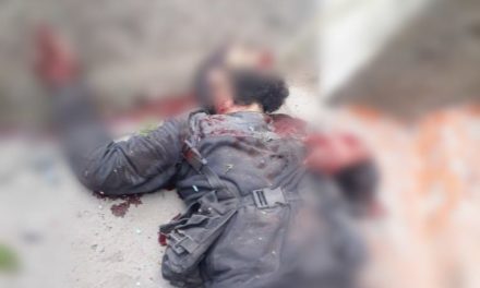 Shopian encounter ends, Hizb commander among two militants killed