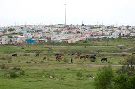 Illegal entries for 29041 kanals of land expunged in Bandipora