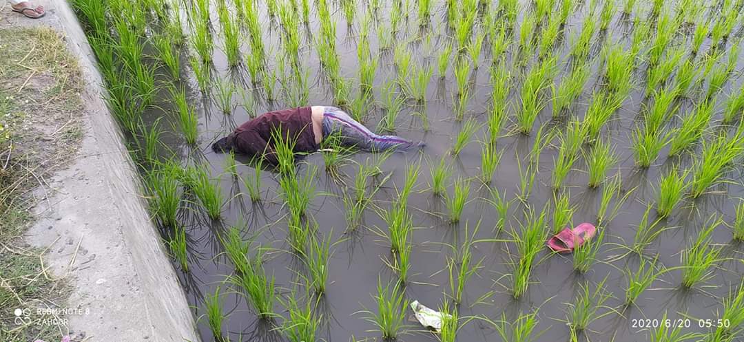 Unidentified dead body found in agriculture land at larsun Ganderbal