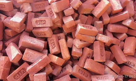 Allow us to resume our business: Brick Kiln owners to Government