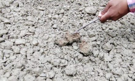 Sub-standard material used in the construction of the 8-km link road from Lari Preng to Kachnambal;Authorities assured action