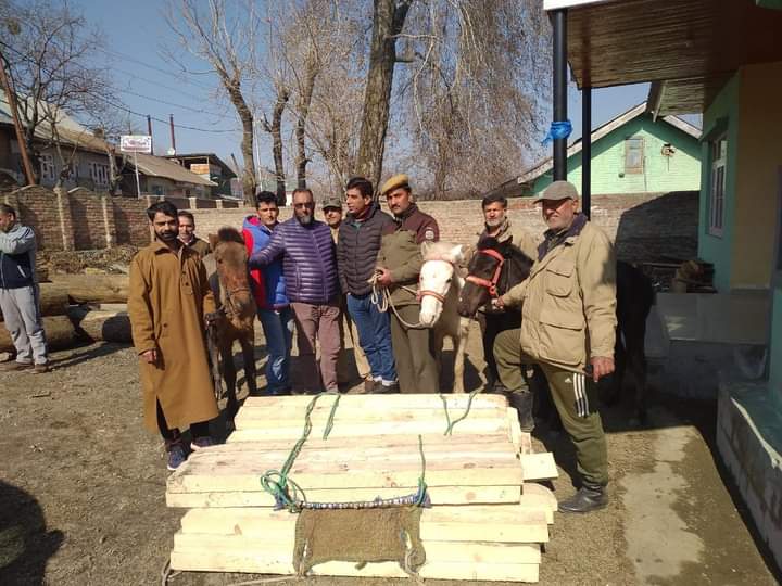 3 horses carrying illicit timber seized, Smugglers escape