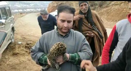 Leopard cub caught by wildlife department in Dooru Anantnag