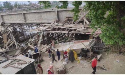 Under construction Cement Kadal Bridge collapses at Noorbagh, no injury reported