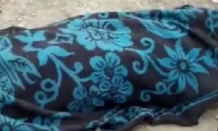 Driver dead Conductor Seriously injured in Fotla Leh Road Accident