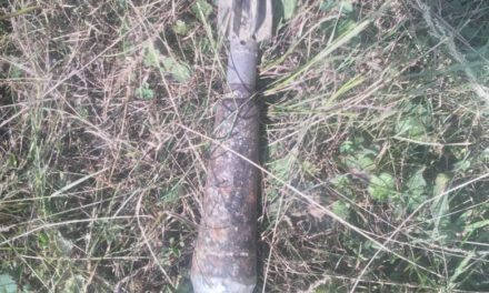 Morter shell found, defused in BUDGAM, 2nd in 8 days.