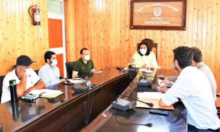 DC Gbl reviews ongoing Developmental Projects within Municipal limit