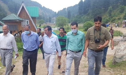 Two lecturers discover ‘gigantic fossil site’ near Aharbal waterfall in Kulgam