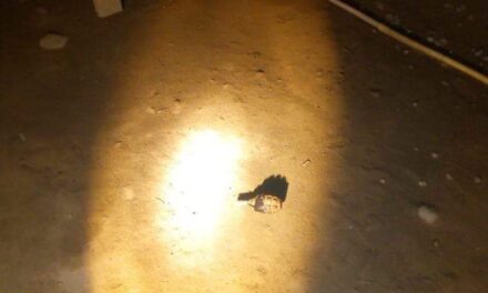 Grenade lobbed towards SOG camp in Chadoora, fails to explode: Officials