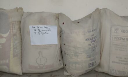 Massive Crack down against Durg mafia in Anantnag continues