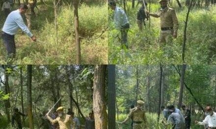 Police carries bung destruction drive in Handwara