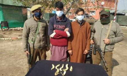 Budgam Police arrested 02 notorious drug Peddlers; contraband substance recovered