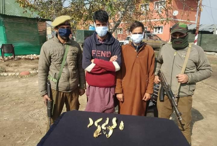 Budgam Police arrested 02 notorious drug Peddlers; contraband substance recovered