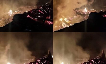 10 houses gutted in overnight blaze in Tulail Bandipora