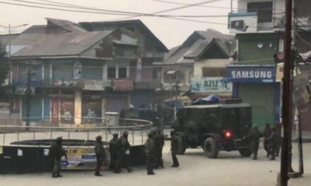 Bandipora attack: Massive operation launched to track down militants;More than 50 detained for questioning