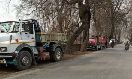 Crackdown on illegal mining In Ganderbal,34 Vehicles seized from last week:DMO Ganderbal