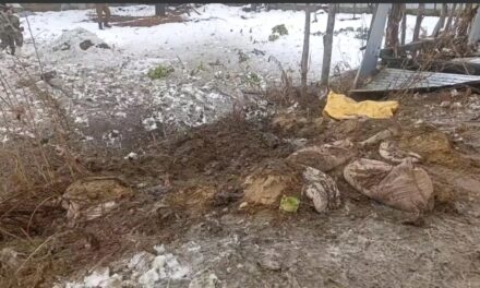 IED detected, destroyed on Baramulla-Handwara road in Rafiabad village: Officials