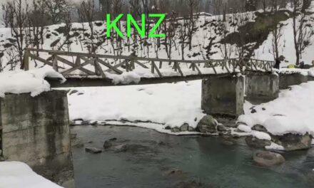 Batapora Kalas-Pati village suffer in absence of a bridge over Nallah Sindh