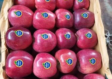 Fruit Growers seek GoI’s intervention, demand ban on Iranian apples,’PM Modi should uphold Make in India slogan’