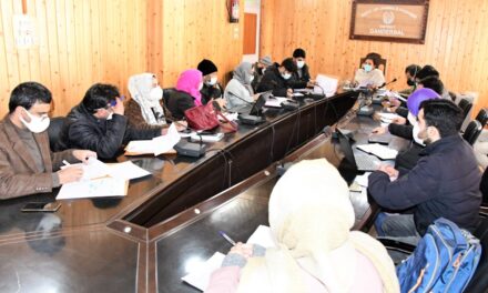 DC Gbl reviews progress on implementation of CSSs, developmental works