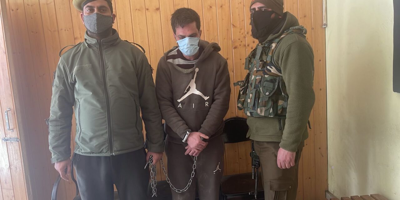 Two minor siblings injured by thief at Batamaloo, Sgr