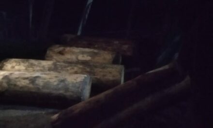 22 cft illicit timber seized in Najwan Kangan