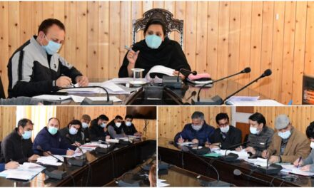 DC Ganderbal reviews functioning of Revenue department